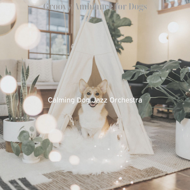 Groovy Ambiance for Dogs cover art