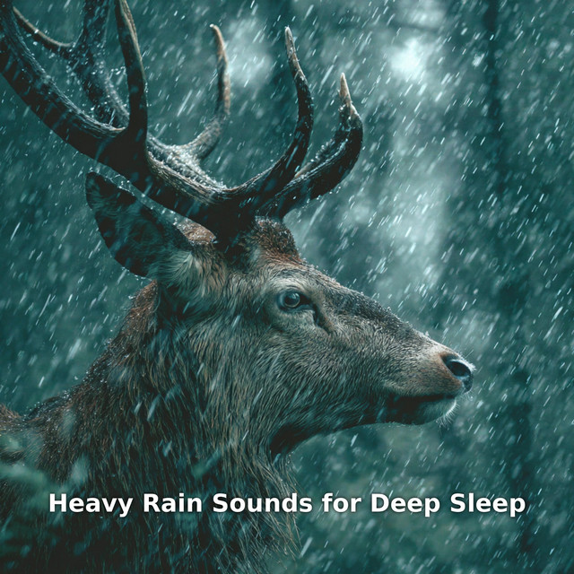 Heavy Rain Sounds for Deep Sleep