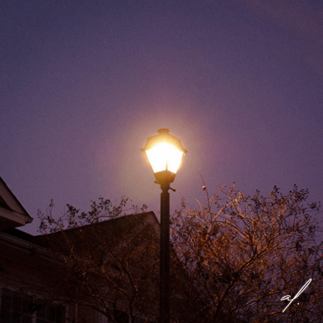 SUNSET cover art