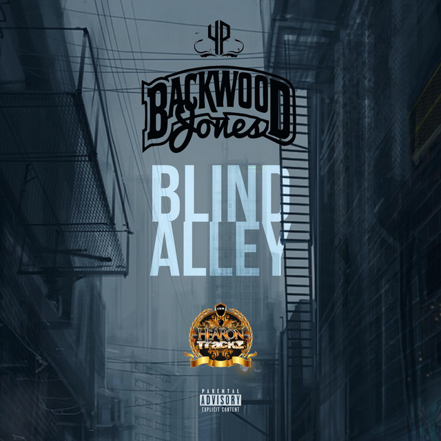 Blind Alley cover art