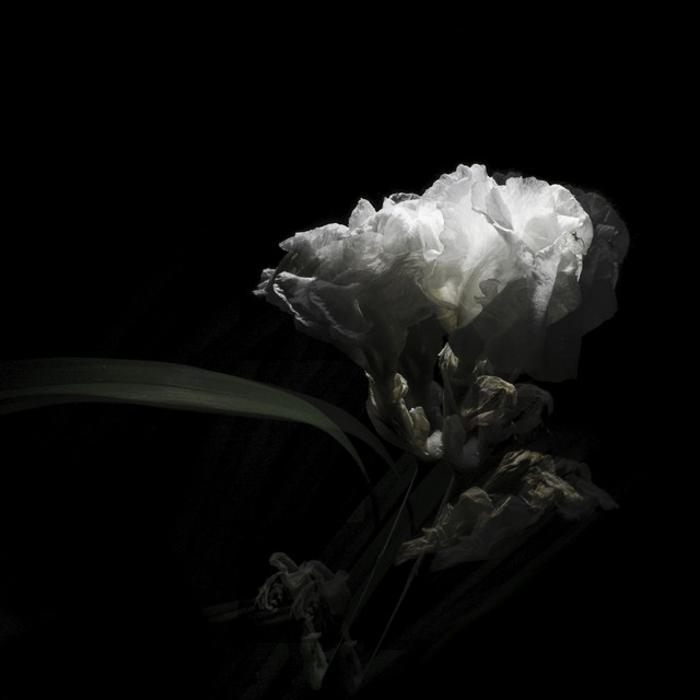 Tell Me True cover art
