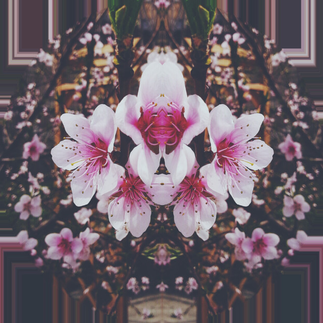 Introspectie cover art