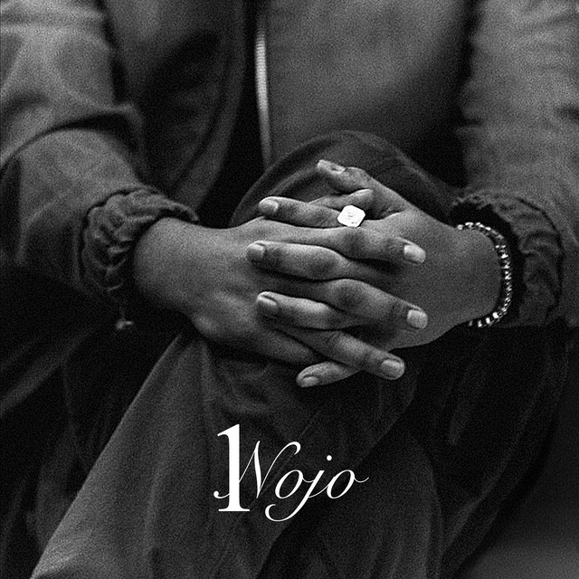 1Nojo cover art