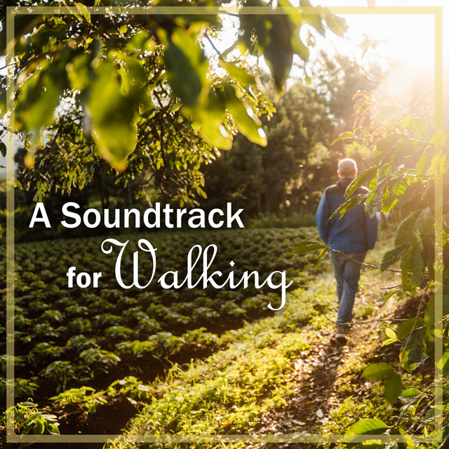 A Soundtrack for Walking: Mozart