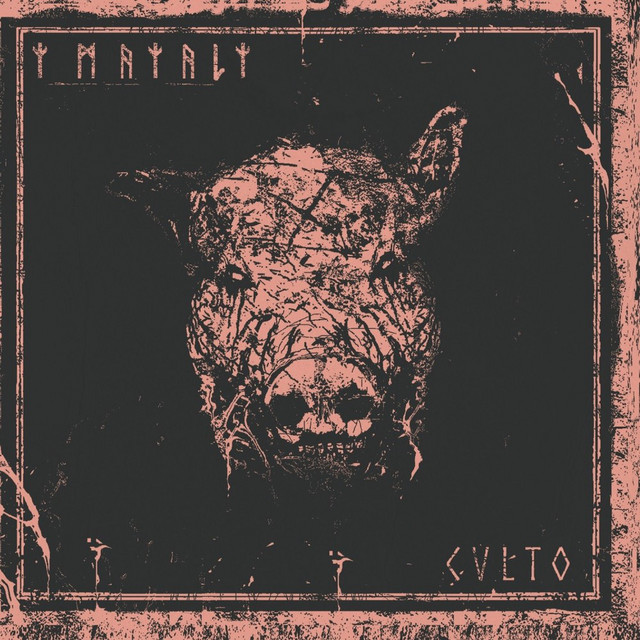 CVLTO album image