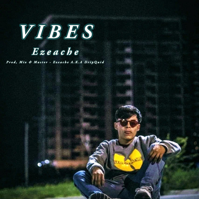 Vibes cover art