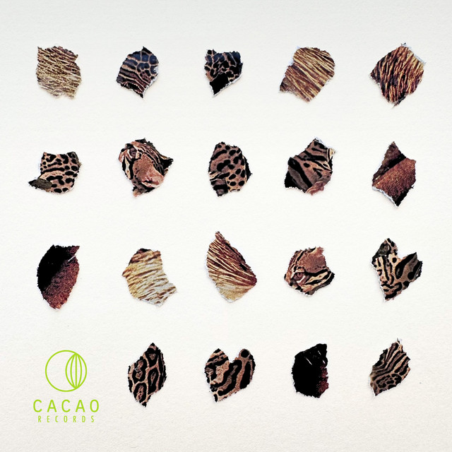 Acid Gato album art