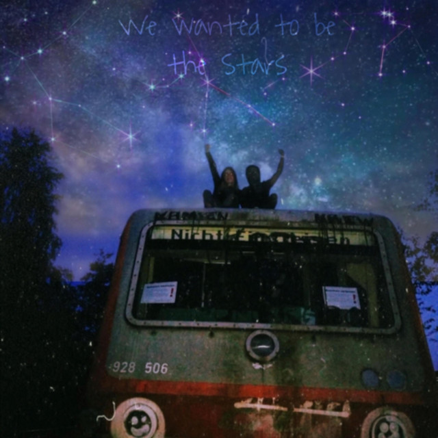 we wanted to be the stars cover art