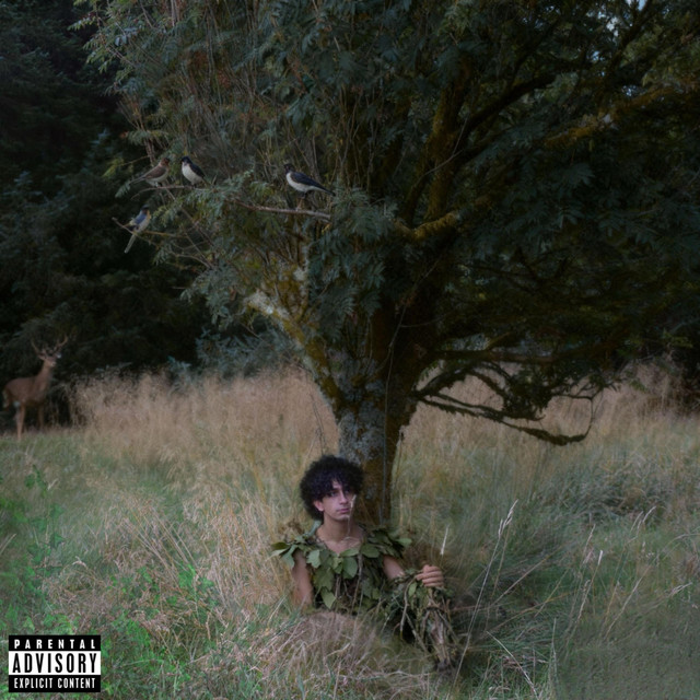 Mayday cover art