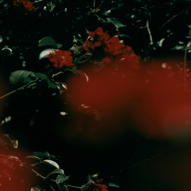 To Dance Around Love