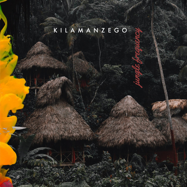 Jungle Frequency cover