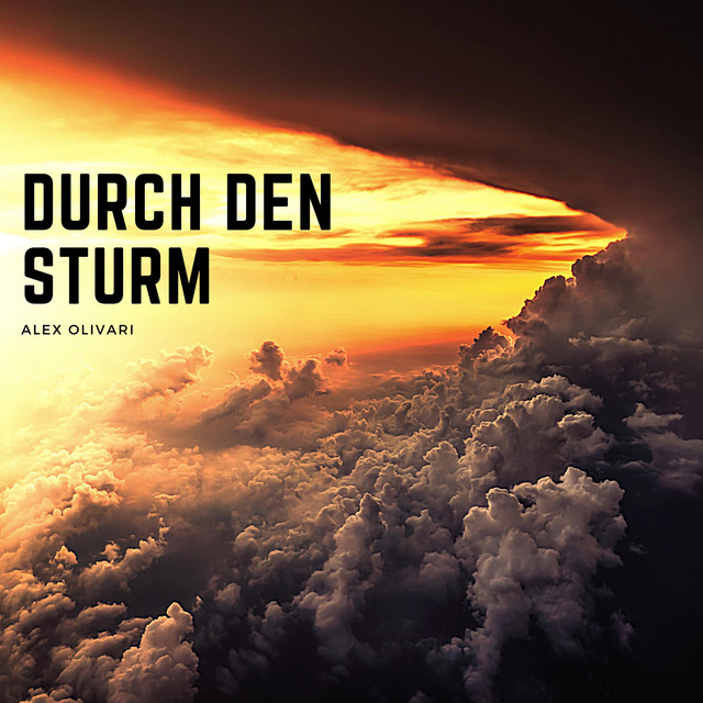Durch den Sturm cover