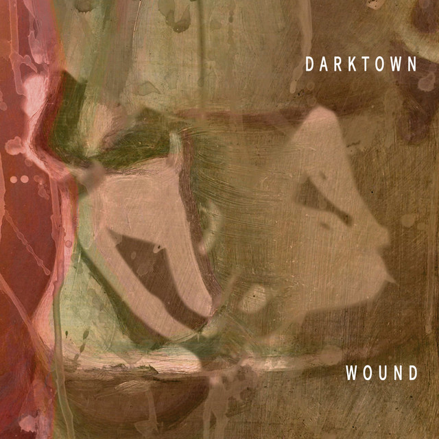 Darktown Wound cover art