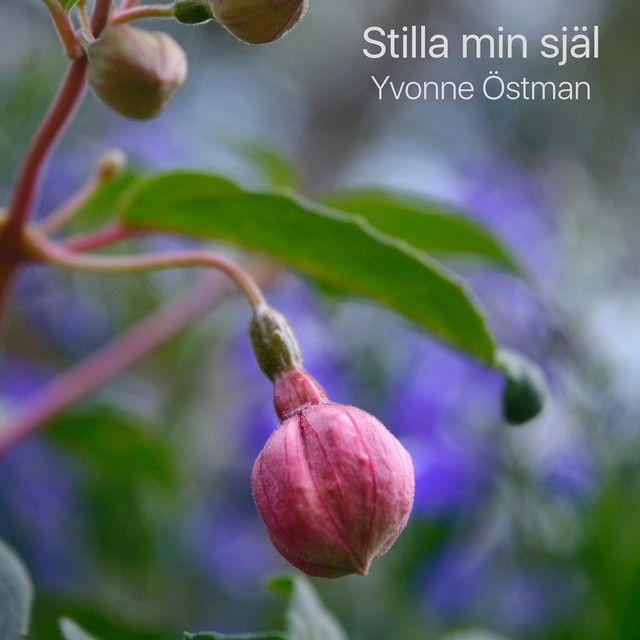 Yvonne Östman