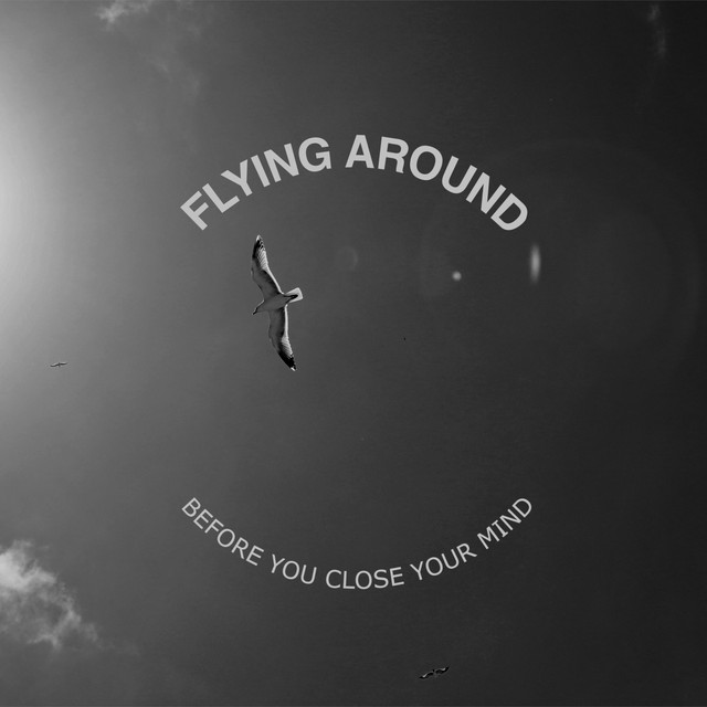 Flying Around (single)
