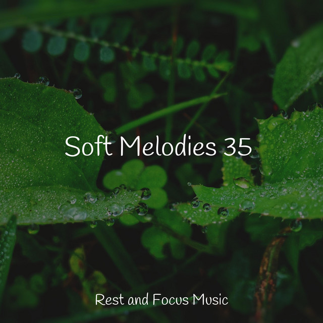 Soft Melodies 35 - Album by Deep Sleep Relaxation | Spotify