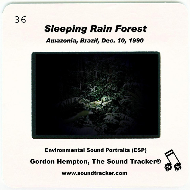Sleeping Rain Forest cover