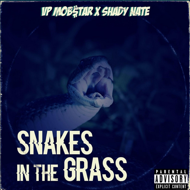 Snakes In The Grass - Remix