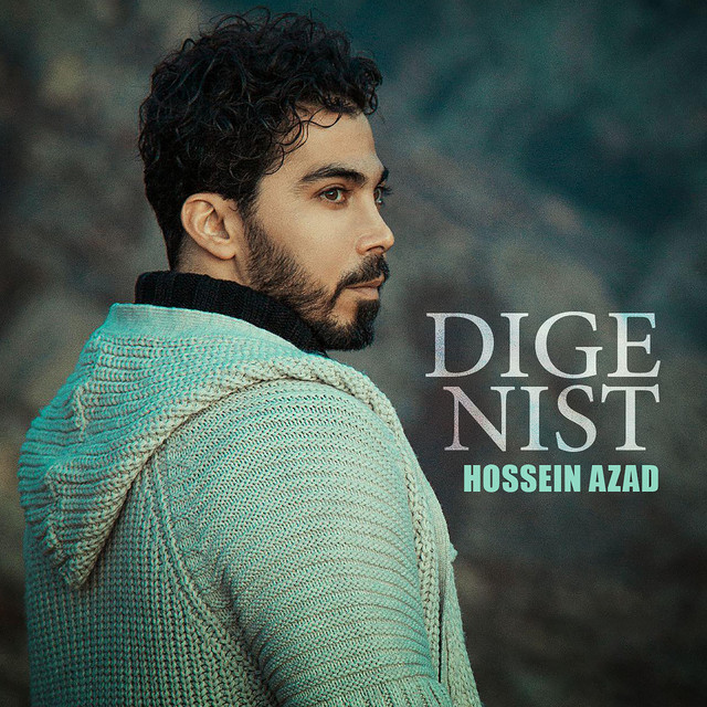 Dige Nist cover art