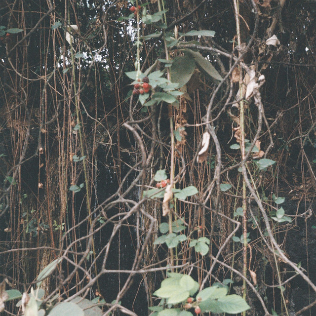 Antes cover art