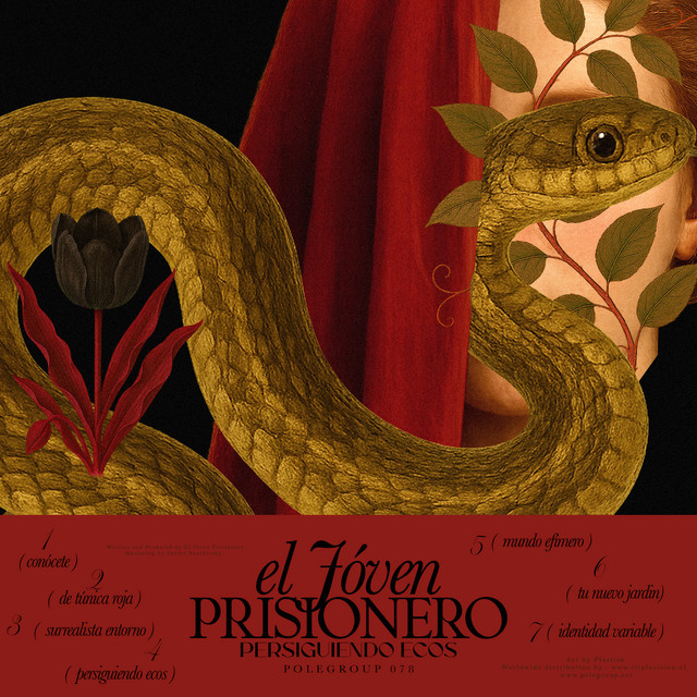 Persiguiendo Ecos cover art
