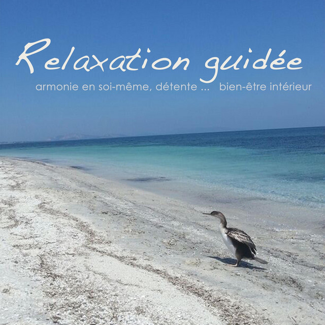 Detente Par Reiki Musique Zen Song By Relaxation Detente Oasis Spotify