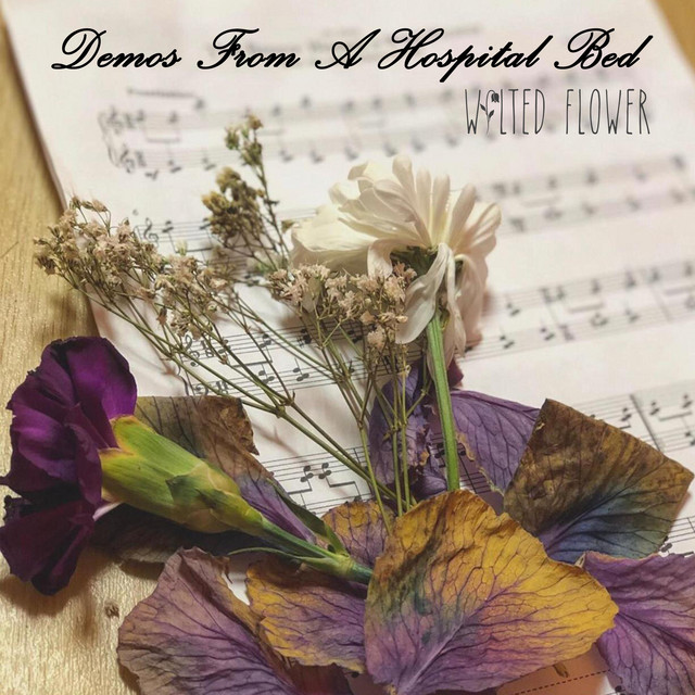 Demos from a Hospital Bed cover art