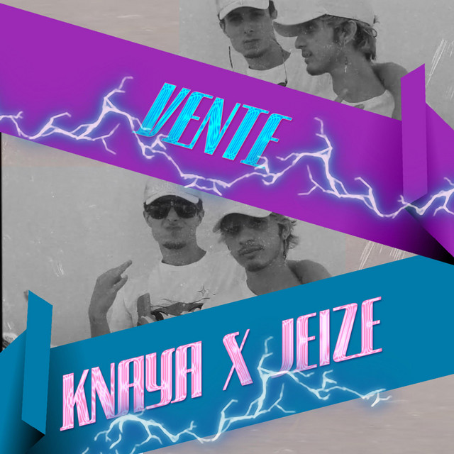 Vente cover art