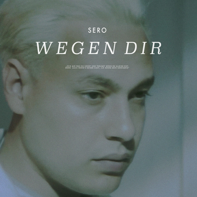 Wegen Dir cover art