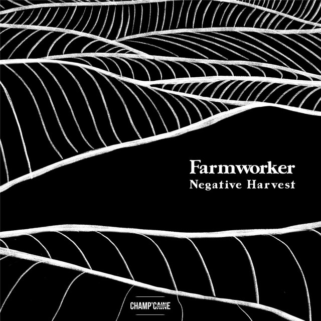 Negative Harvest cover art