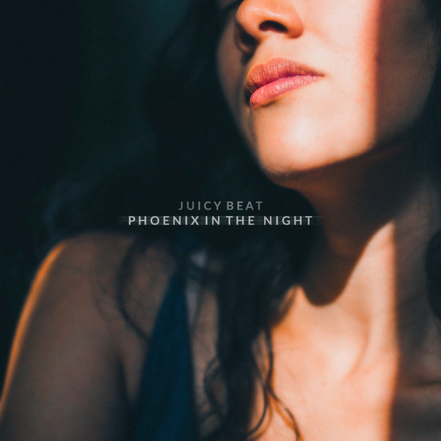 Phoenix In The Night