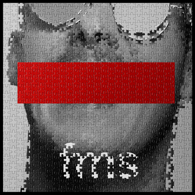 FMS artwork