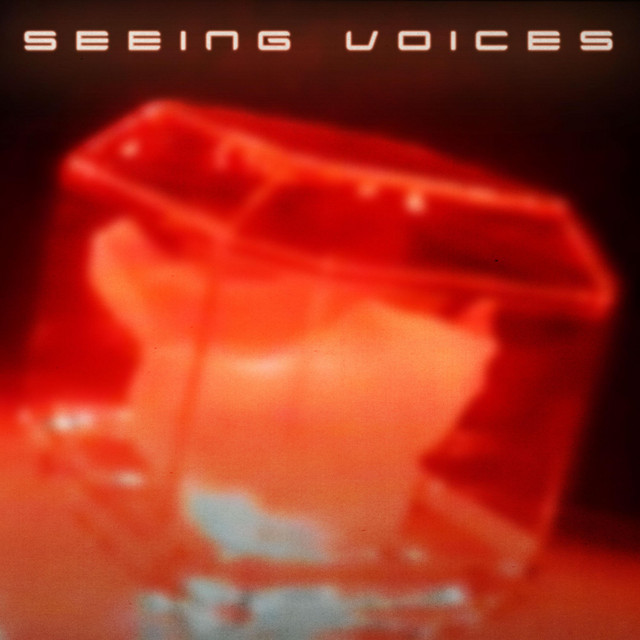 Donor Lens - Seeing Voices