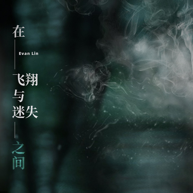 在飞翔与迷失之间（Lost）