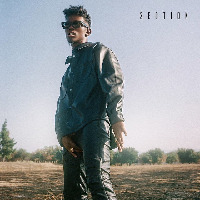 Section cover art