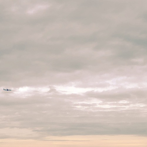 Three Birds Flying Away