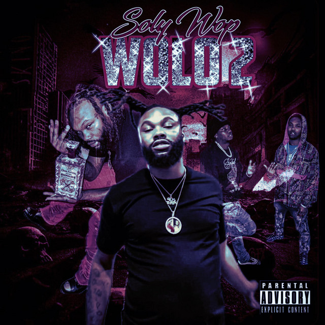 WOLO 2 cover art
