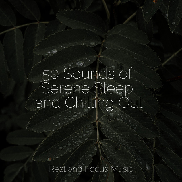 50 Sounds of Serene Sleep and Chilling Out - Album by Música de la ...