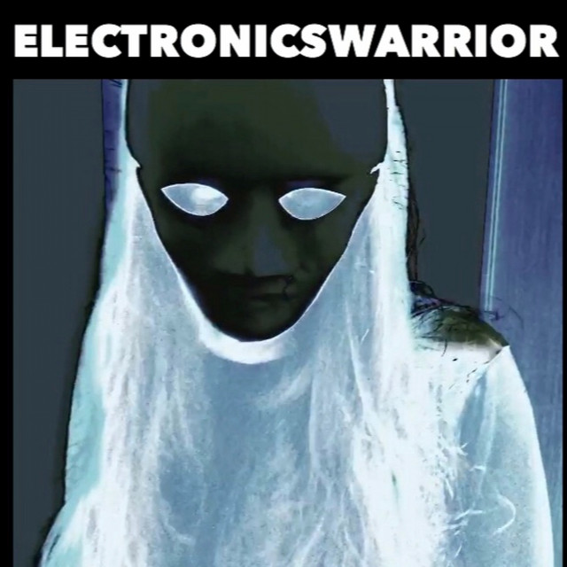 Electronics Warrior