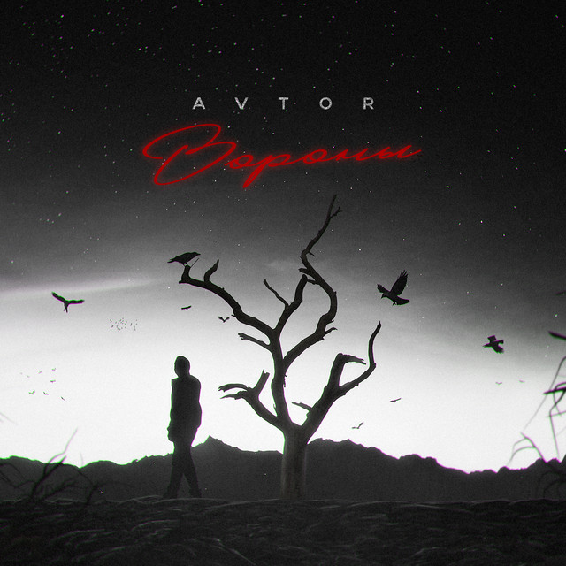 Обкладинка: Вороны — AVTOR
