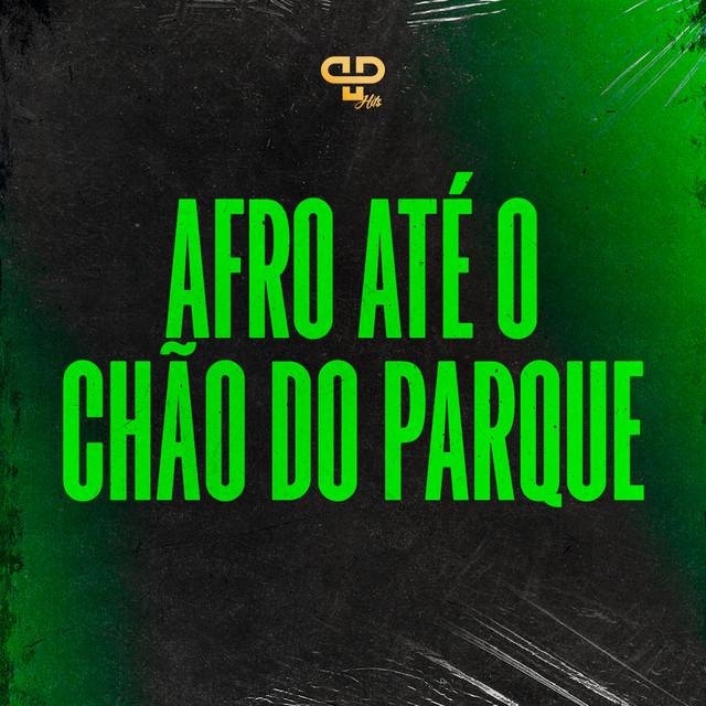 Afro Até o Chão do Parque