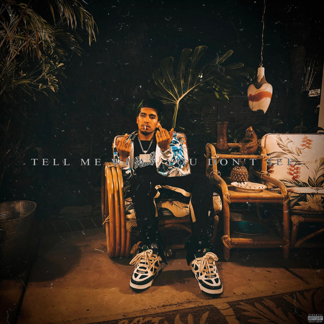 Tell Me What You Don't See cover art