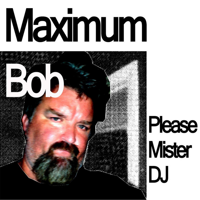 Please Mister DJ cover