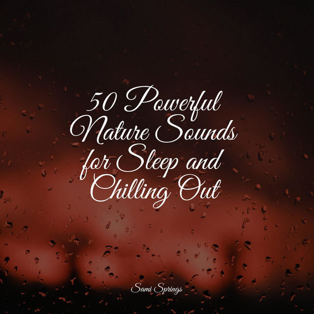 50 Powerful Nature Sounds for Sleep and Chilling Out - Album by ...