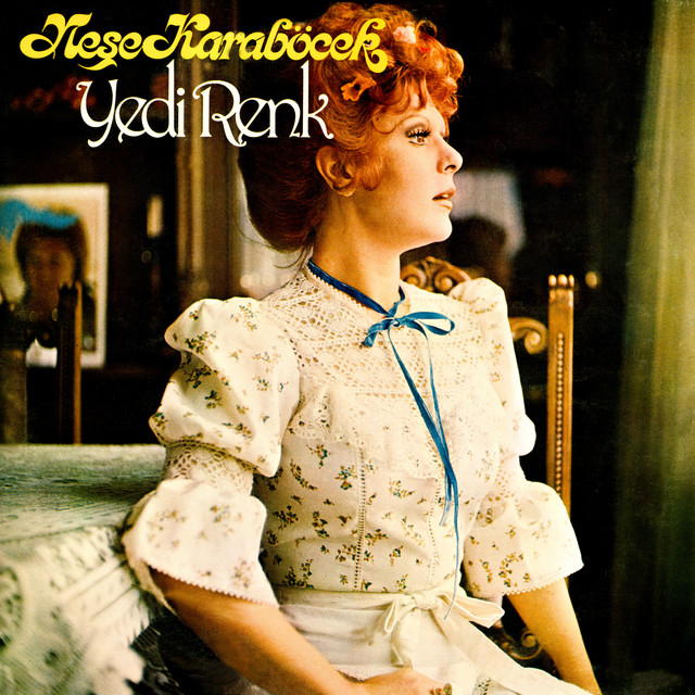 Yedi Renk cover art