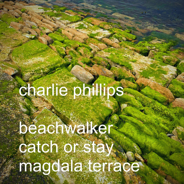 Beachwalking cover