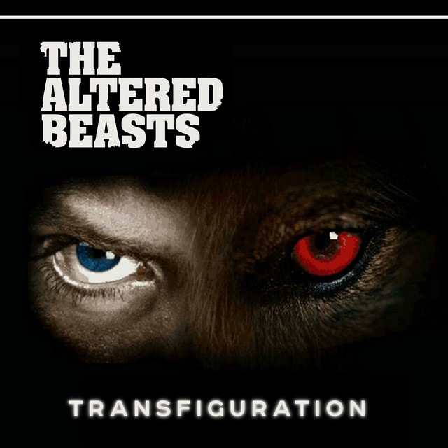 Transfiguration cover art