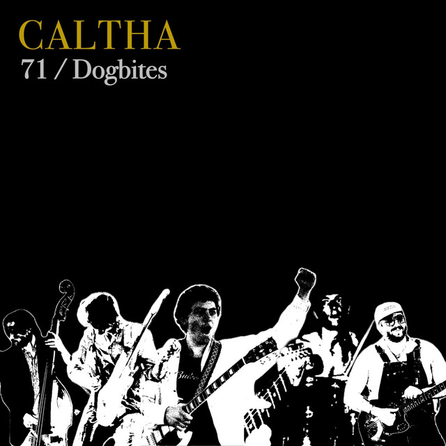 71 / Dogbites cover art