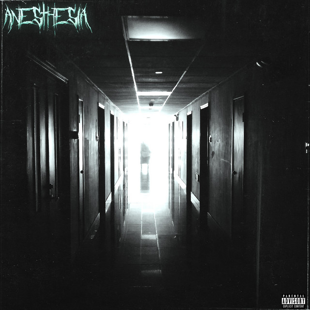 ANESTHESIA cover art