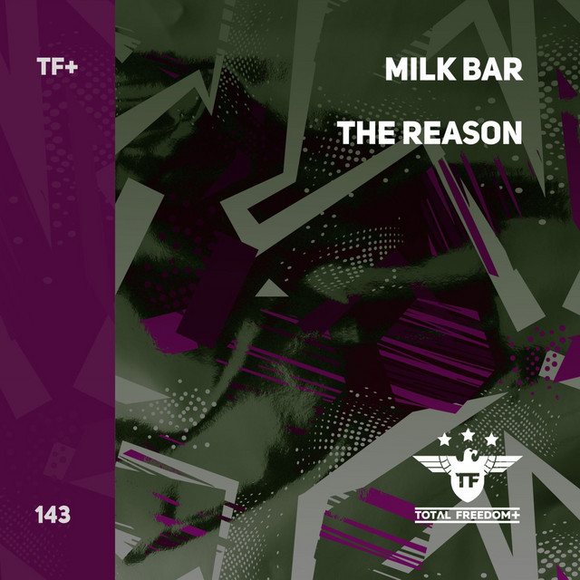 The Reason - Extended Mix album art